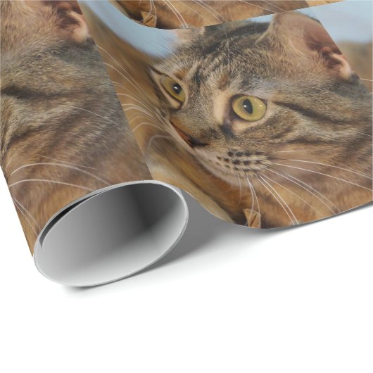 June Bug Cadeaupapier (Rol Hoek)