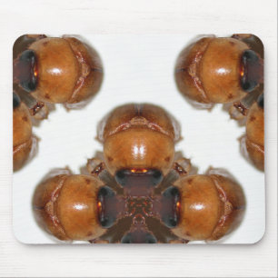 June Bug Gathering van KLM Muismat