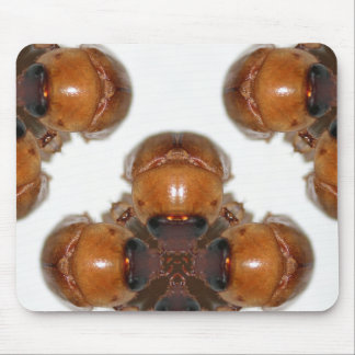 June Bug Gathering van KLM Muismat