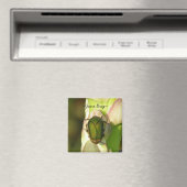 June Bug Magneet (Insitu (Vaatwasser))