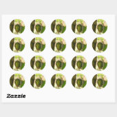 June Bug Stickers (Vel)