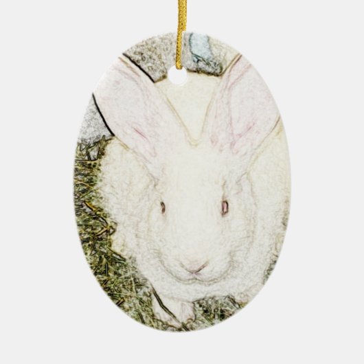 June Bunny Ornament (Voorkant)