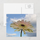 June Gerbera Flower in the Sky Briefkaart (Voorkant / Achterkant)