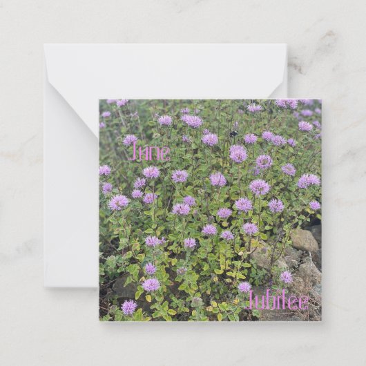 June Jubilee Notitiekaartje (Voorkant)