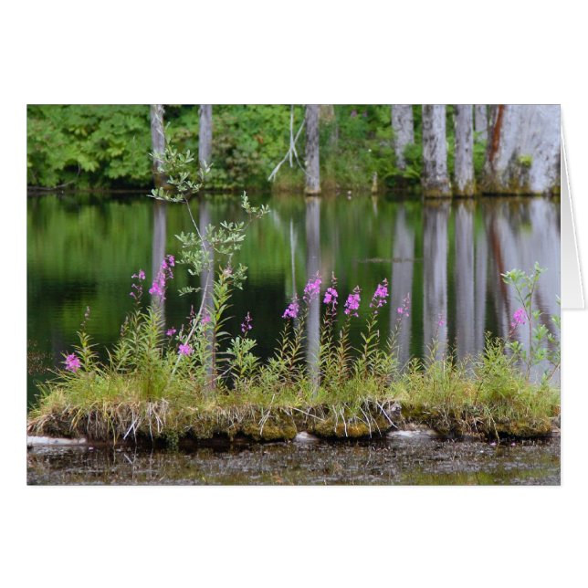 June Lake (Voorkant Horizontaal)