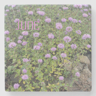 June Mint Stenen Onderzetter