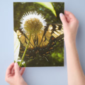 June Monarch Flyer (Hand)