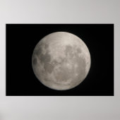 June Moon Poster (Voorkant)