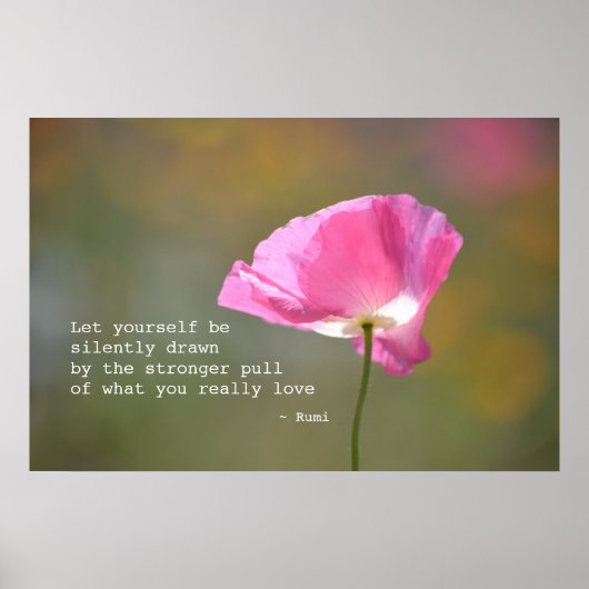 June Poppy Poster (Voorkant)