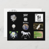 June Postcard Briefkaart (Voorkant / Achterkant)