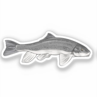 June Sucker Fish Vector Illustratie Sticker