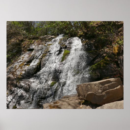 Juney Whank Falls at Smoky Mountains Poster (Voorkant)