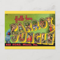 Jungle aux perroquets Miami Carte postale ancienne