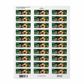 Jungle Etiket (Full Sheet)