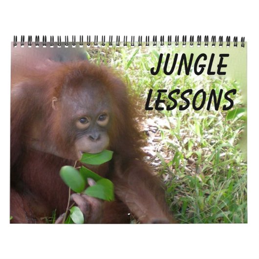 Jungle Leçons calendrier animal sauvage (Protection)