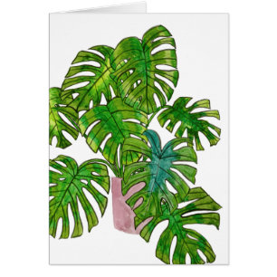Jungle mise en pot I