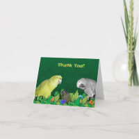 Jungle Parrot merci cartes de notes