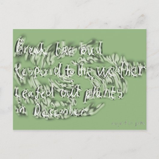 juni briefkaart (Voorkant)