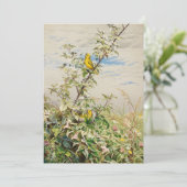 juni | Fidelia Bridges (Staand voorkant)