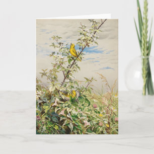 juni   Fidelia Bridges Kaart