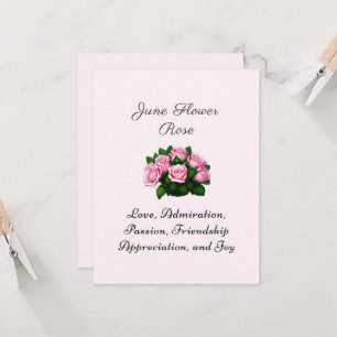 Juni Geboortemaand Bloem Roos Tijdloze Bloemen
