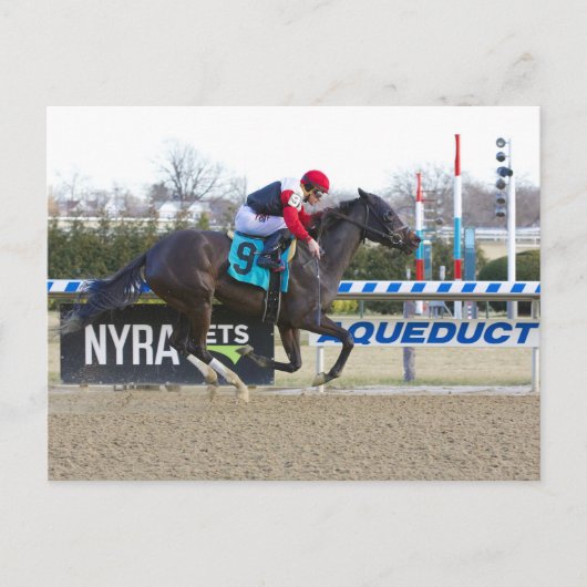 Junior Alvarado met Flat Calm Briefkaart (Voorkant)