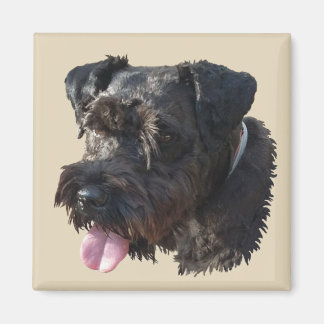 Junior De Schnauzer, magneet