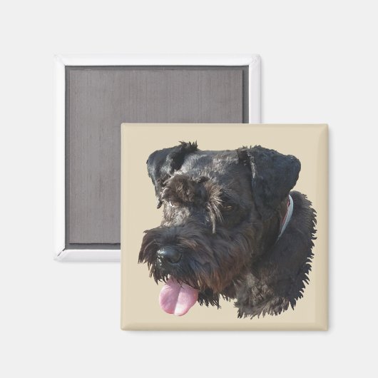 Junior The Schnauzer, aimant (Recto/Verso)