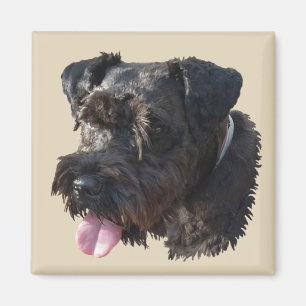 Junior The Schnauzer, magneet