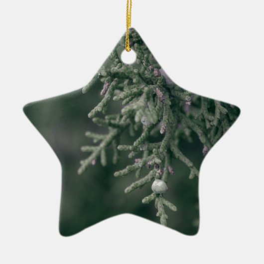 Juniper Berries Keramisch Ornament (Voorkant)