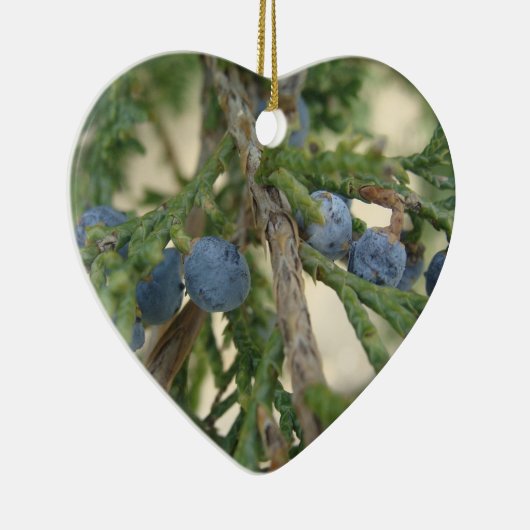 Juniper Berry Ornament (Rechts)