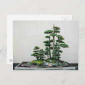 Juniper Bonsai Forest Briefkaart (Voorkant / Achterkant)