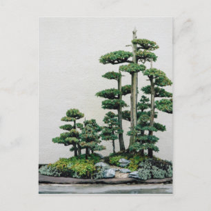 Juniper Bonsai Forest Briefkaart