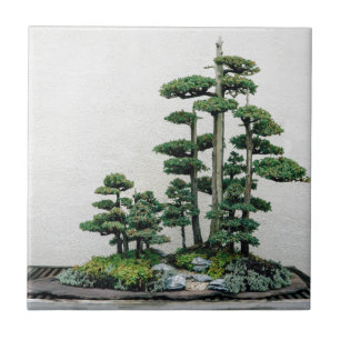 Juniper Bonsai Forest Tegeltje