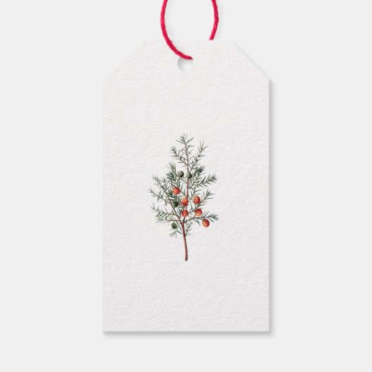 Juniper Branch Custom Vakantie Custom Cadeaulabel (Achterkant)
