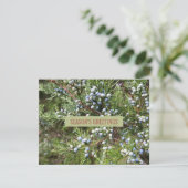 Juniper paycaping carte de vacances affaires (Debout devant)