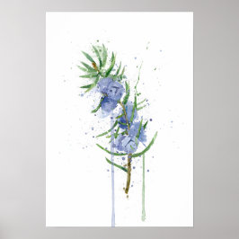 Juniper Poster