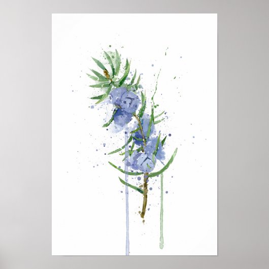 Juniper Poster (Voorkant)