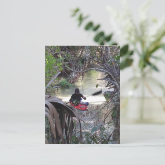 Juniper Springs, Fl Briefkaart (Staand voorkant)