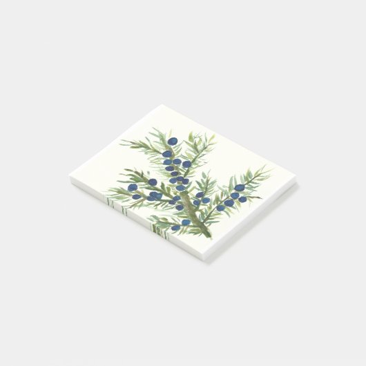 Juniper twig met blauwe bessen post-it® notes (Schuin)