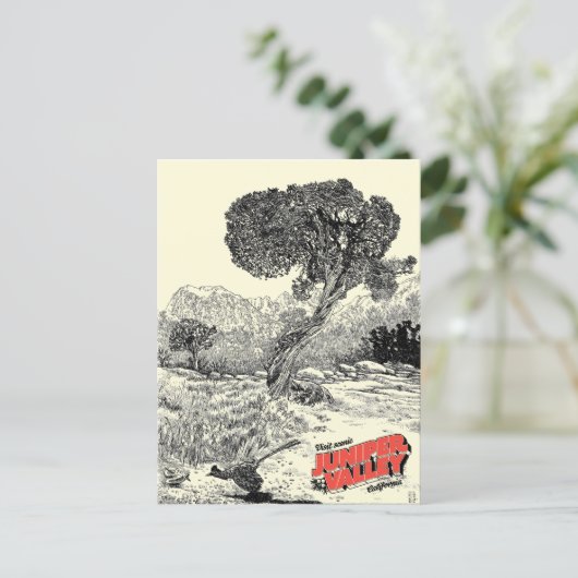 Juniper Valley Wilderness - Carte postale (Debout devant)