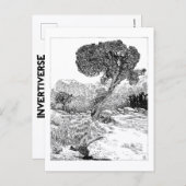 Juniper Valley Wilderness - Carte postale (Devant / Derrière)