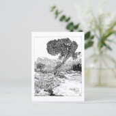 Juniper Valley Wilderness - Carte postale (Debout devant)