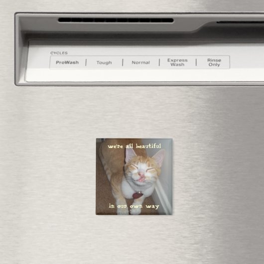 junipurr bel aimant (In Situ (Lave-vaisselle))