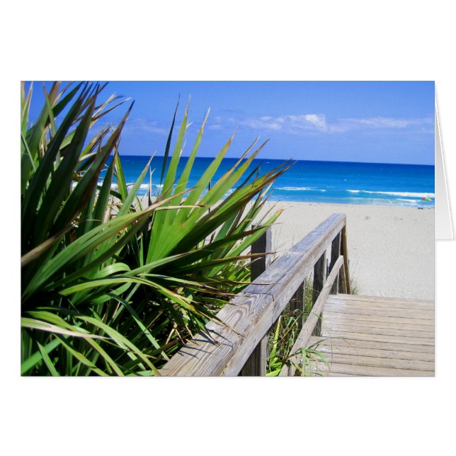 Juno Beach Florida (Voorkant Horizontaal)