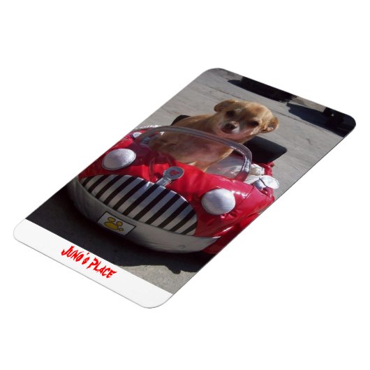 Juno Magnet (Côté Gauche)