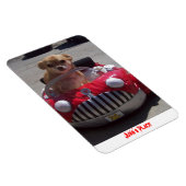 Juno Magnet (Côté Droit)