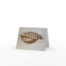 Junonia Shell - Carte de voeux vierge