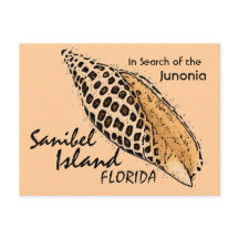 Junonia shell Sanibel Island humor briefkaart