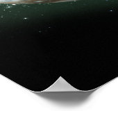 Jupiter en Earth Comparison Poster (Hoek)